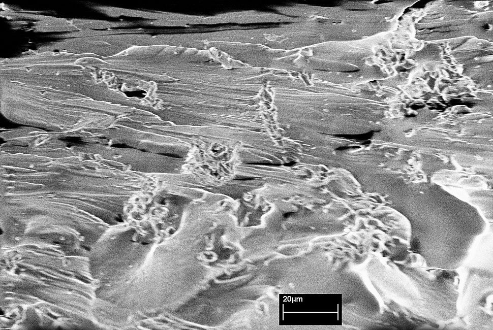 Polymeric surface in microscale
